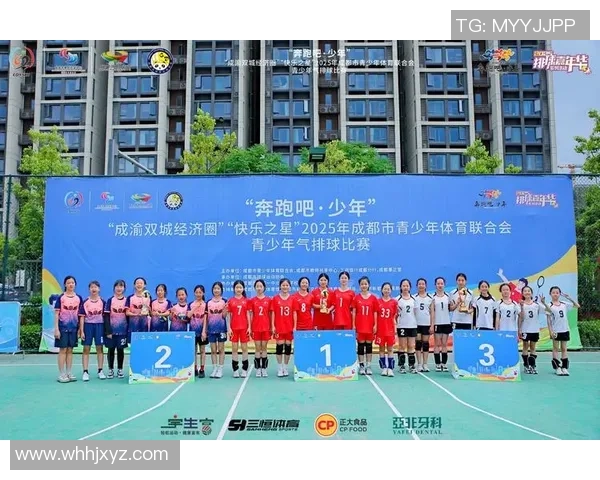 成都排球队在锦标赛中的实力展现与未来发展潜力分析