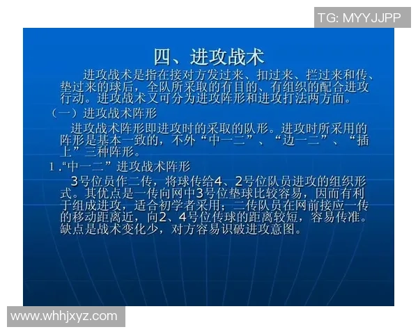 广州排球队的控制打法深度分析与战术解析